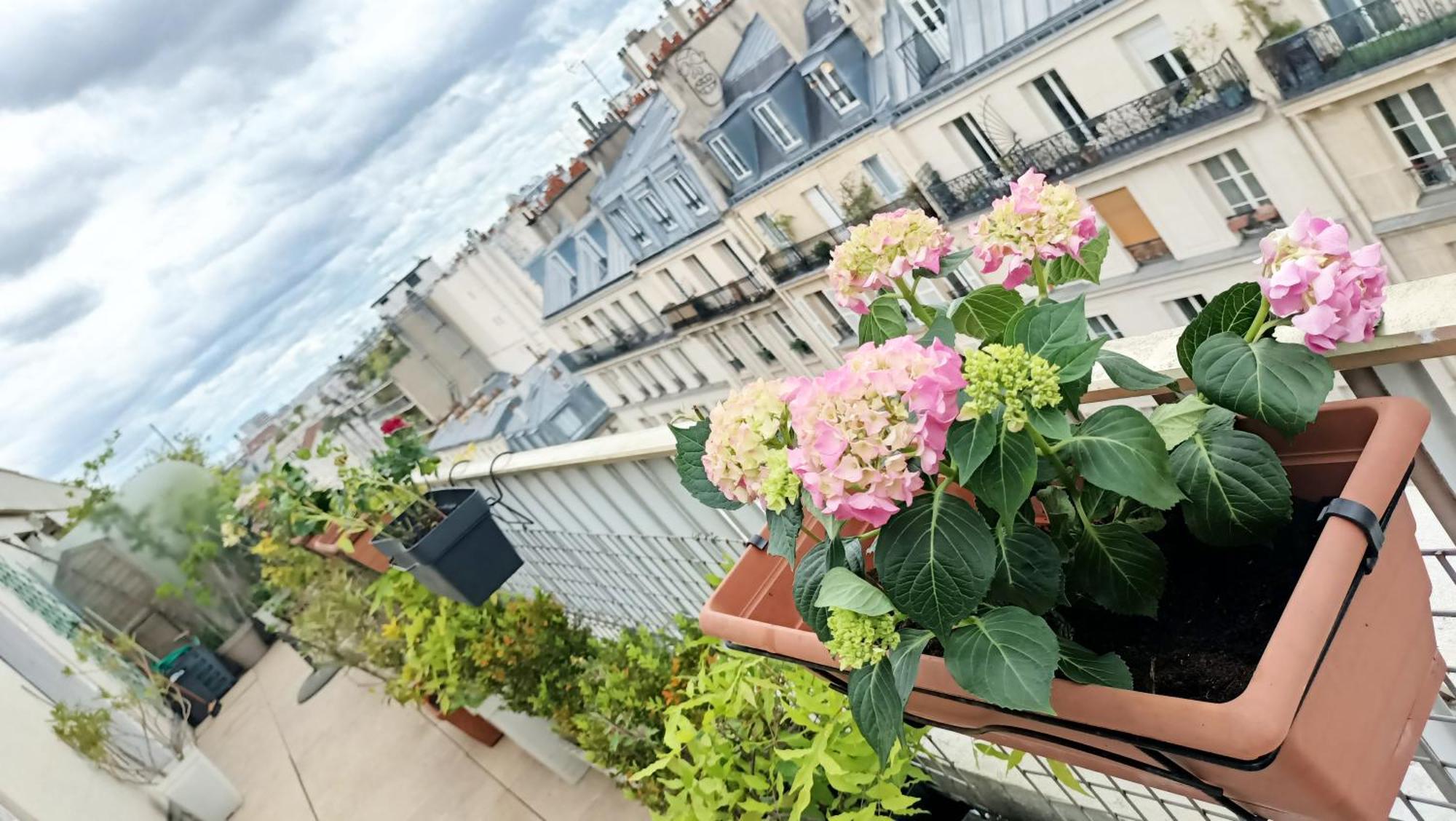 King Bedroom And Terrace In Center, Shared Bathroom Paris